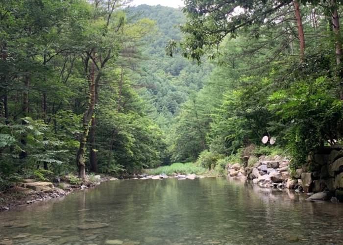 계곡전경 (6)